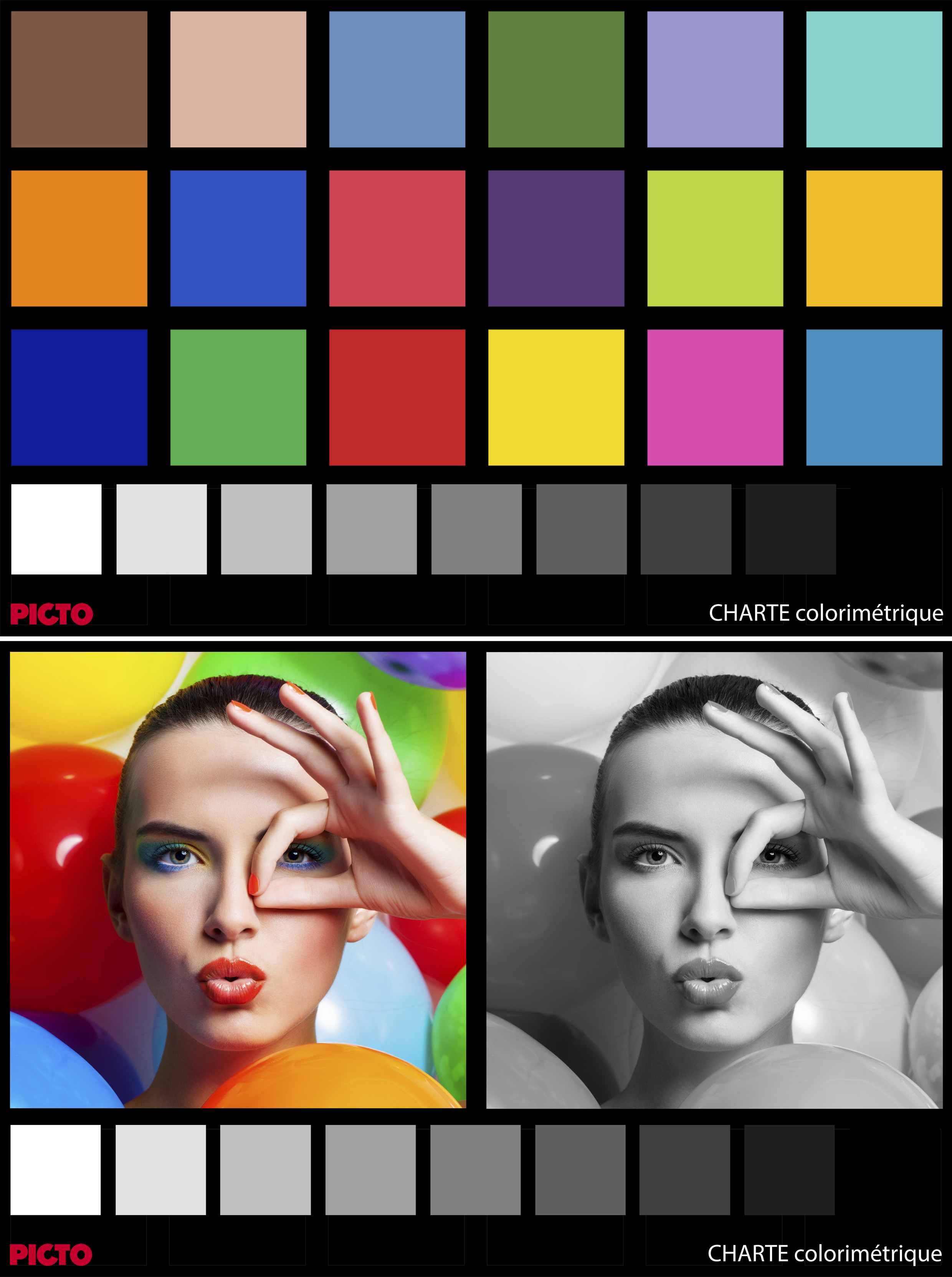 Charte colorimétrique PICTO