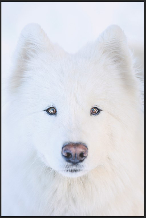 Pigmentaire Bright White Hahnemühle 310g