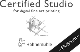 HAHNEMUHLE CERTIFIED PLATINUM