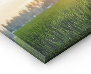 Plexi 10mm pour Face Avant