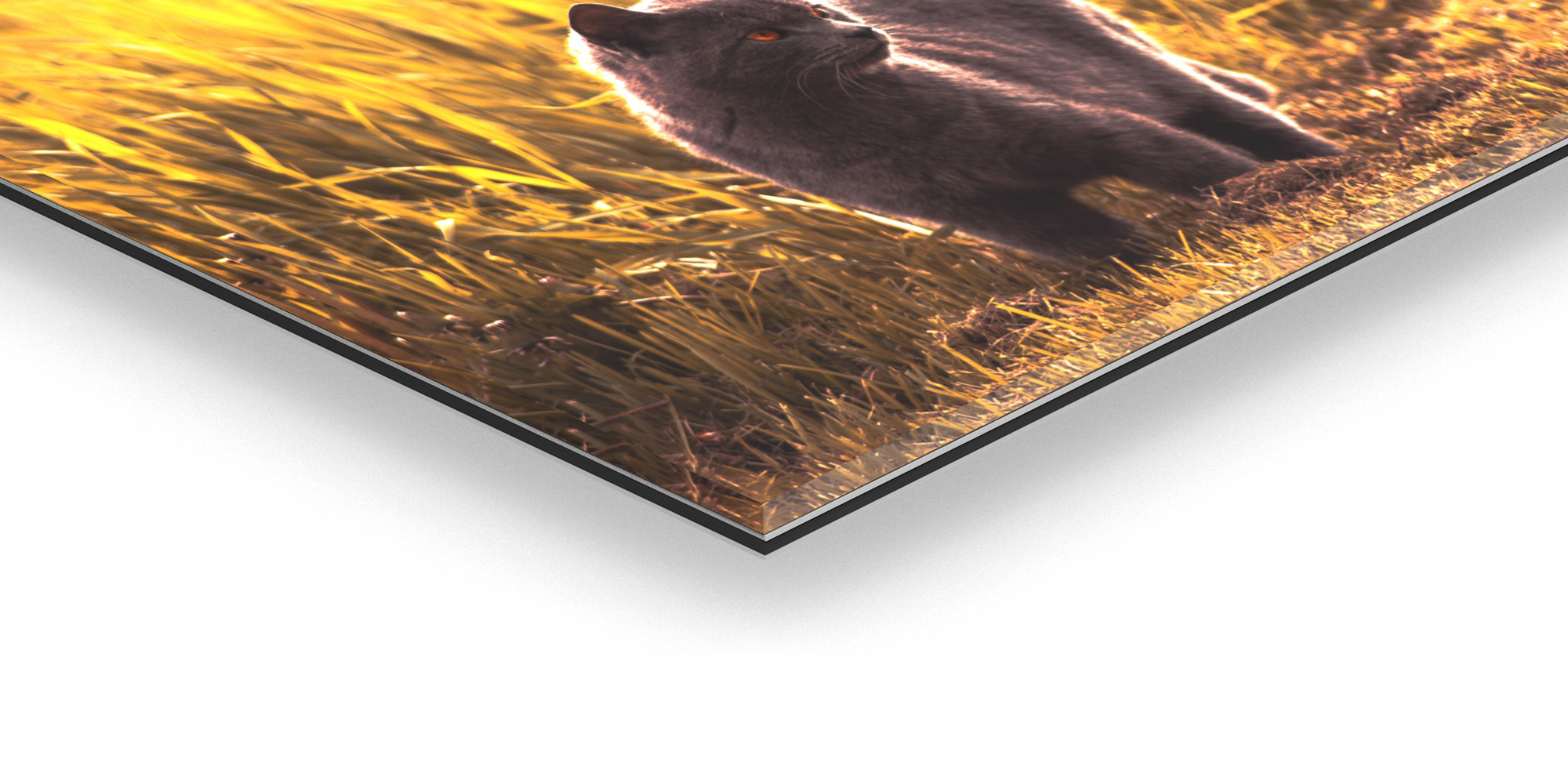 IPS - Impression UV sous Plexi