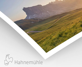 Canvas Artist Hahnemühle 340g (sur Epson)