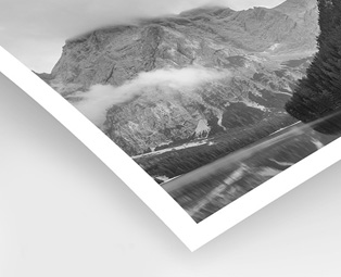 RC Noir & Blanc Brillant Ilford 190g