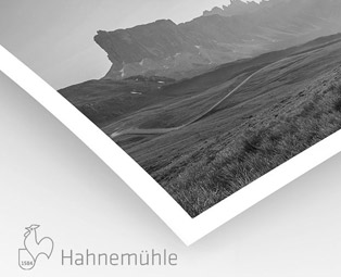 Canvas Artist Hahnemühle 340g (sur Epson Noir et Blanc)