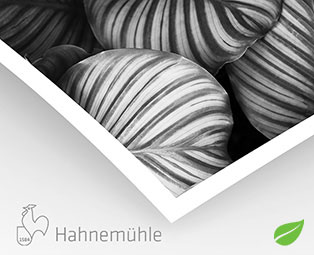 Bamboo Natural Line Hahnemühle 290g (sur Epson Noir et Blanc)