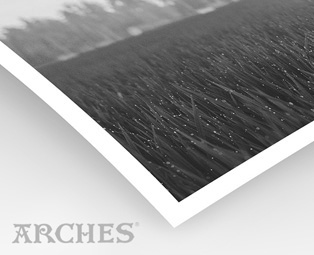 Aquarelle Arches 310g (sur Epson Noir et Blanc)