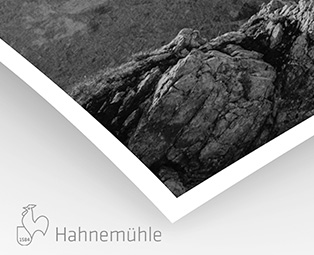 Bright White Hahnemühle 310g (sur Epson Noir et Blanc)