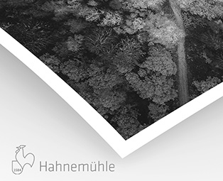William Turner Hahnemühle 310g (sur Epson Noir et Blanc)