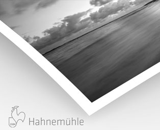 Photo Rag Metallic Hahnemühle 340g (sur Epson Noir et Blanc)