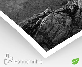 Bamboo Natural Line Hahnemühle 290g  (sur Piezo Pro Charbon )