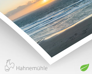 Hemp Natural Line Hahnemühle 290g (sur Epson)