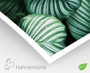 Bamboo Natural Line Hahnemühle 290g (sur Epson)