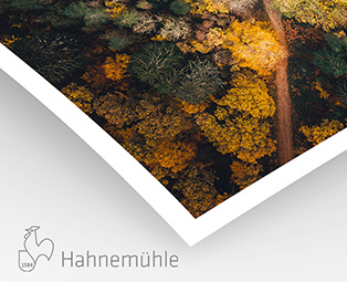 William Turner Hahnemühle 310g (sur Epson)
