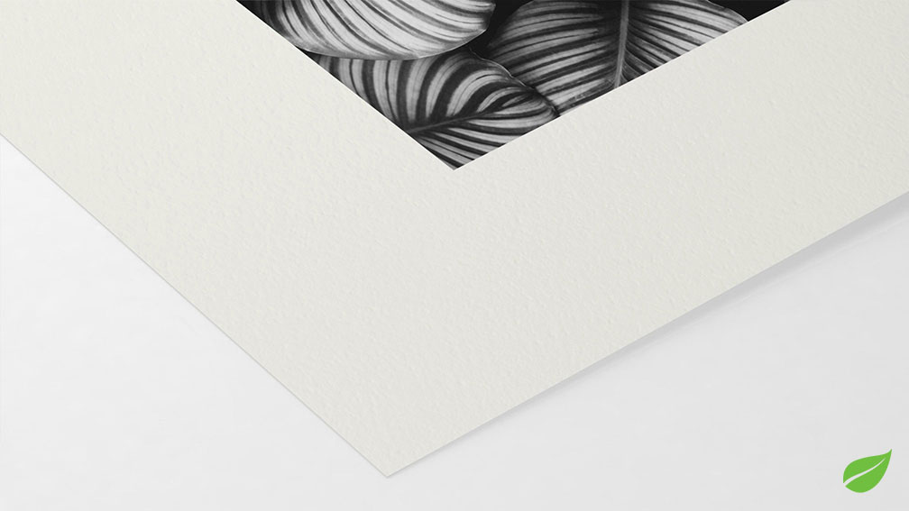 Bamboo Natural Line Hahnemühle 290g (sur Epson Noir et Blanc)