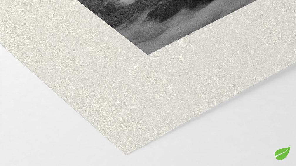 Unryu 55g (sur Epson Noir et Blanc)