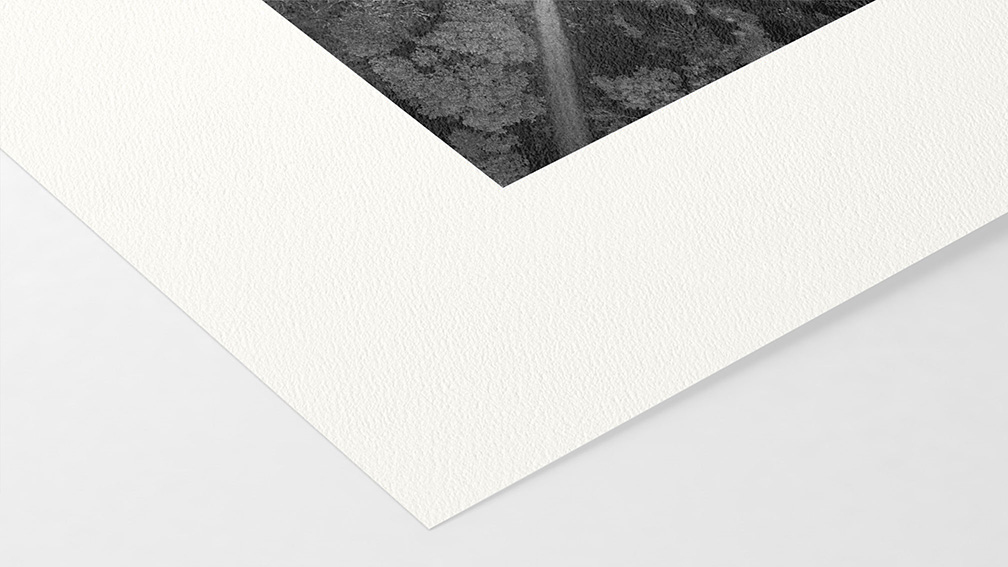 William Turner Hahnemühle 310g (sur Epson Noir et Blanc)