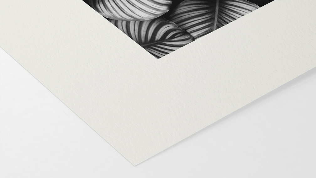 Bamboo Hahnemühle 290g (sur HP Noir et Blanc)}