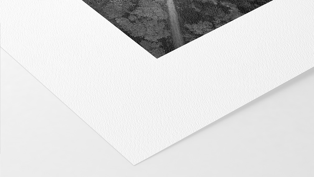 William Turner Hahnemühle 310g (sur Piezo Pro Charbon)