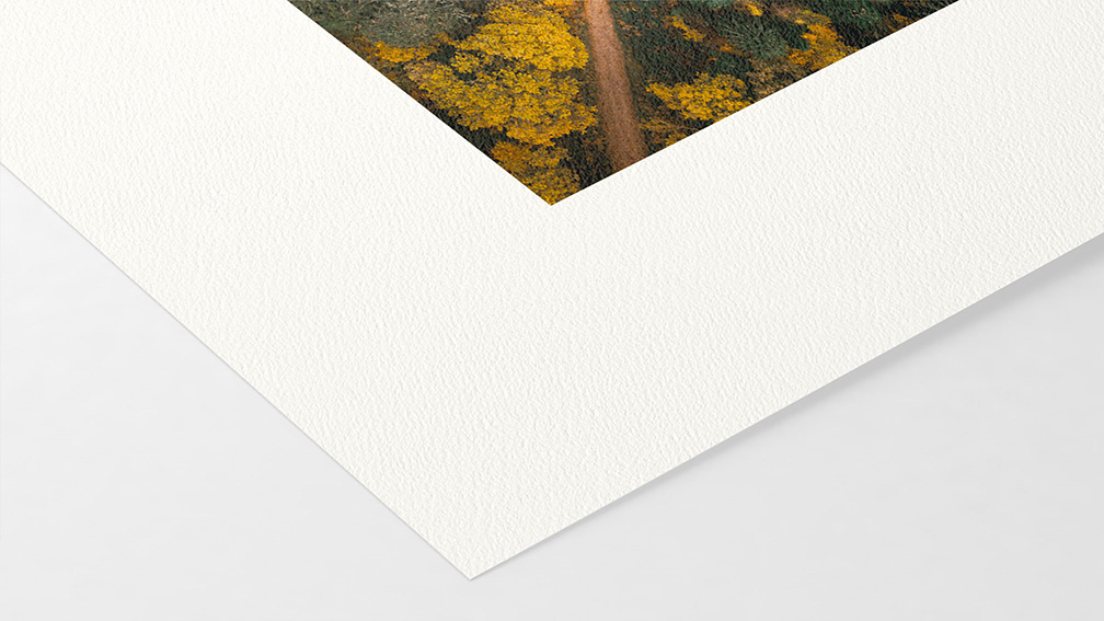 William Turner Hahnemühle 310g (sur Epson)