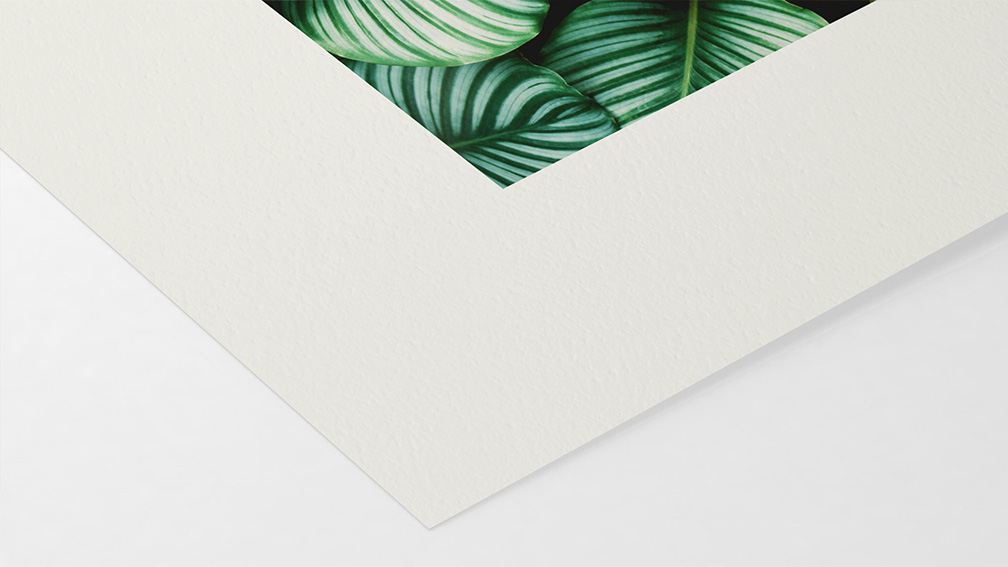 Bamboo Hahnemühle 290g (sur HP)}